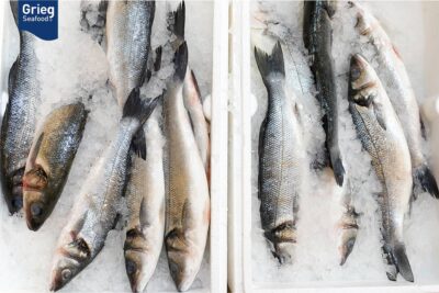 lax seafood-third-main-compr