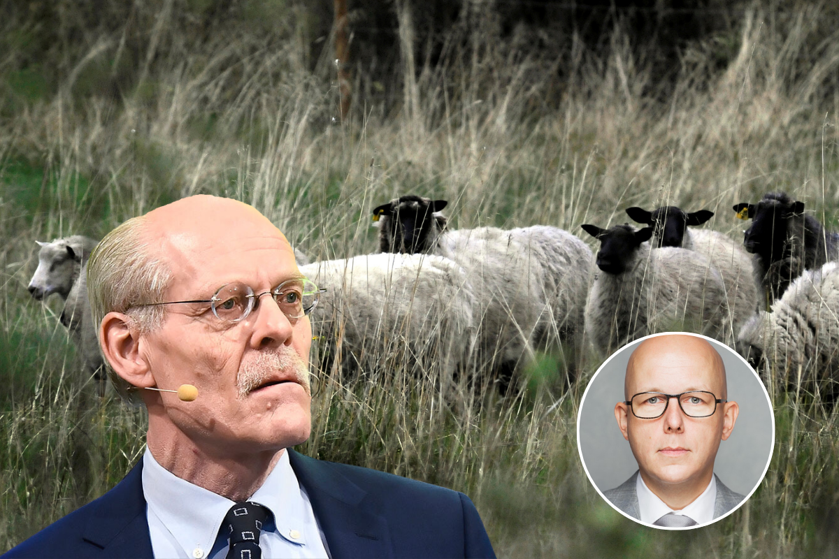 Enlund: Glöm fårflocken - värna Sveriges självständighet