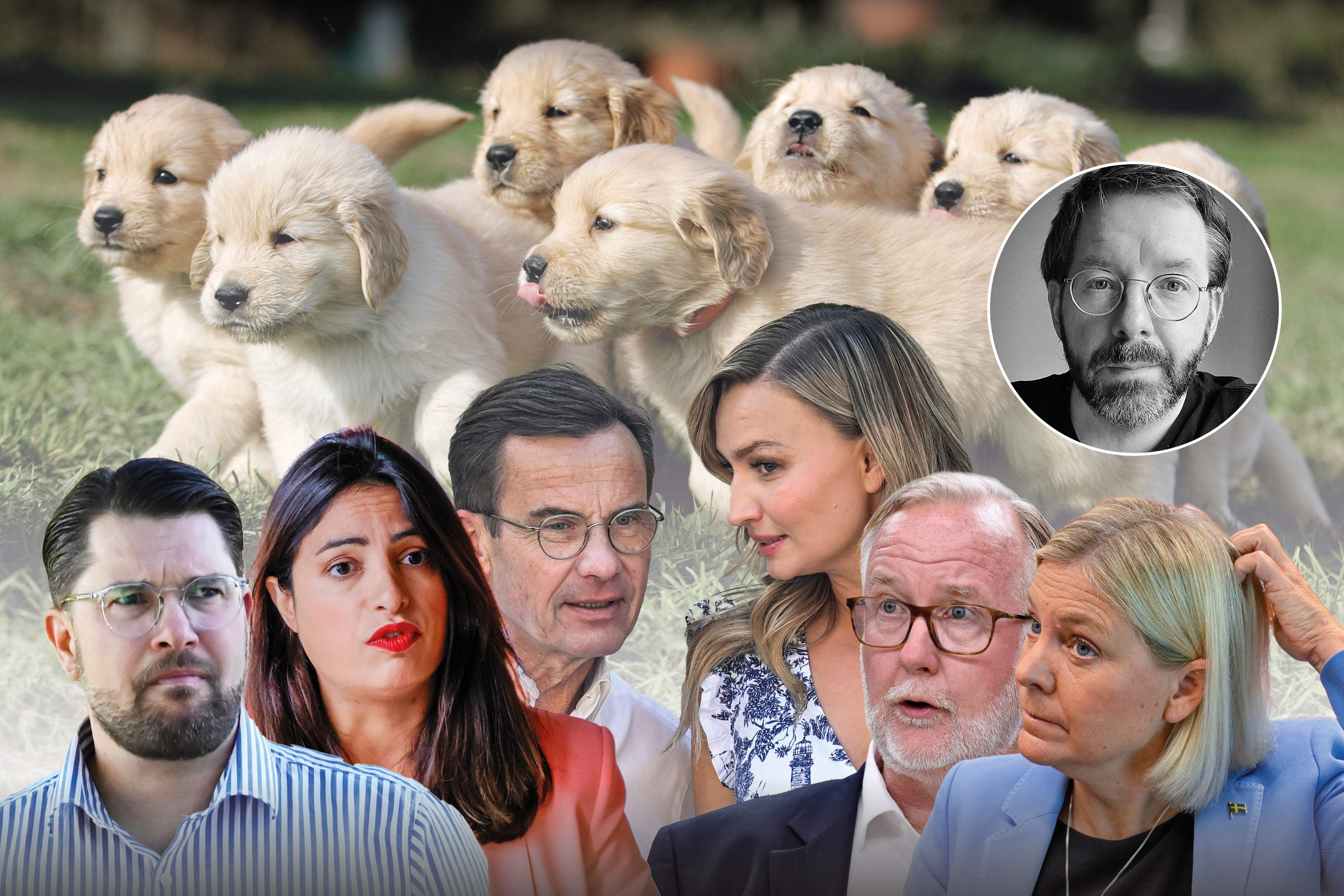 Svenskar är som glada hundar – nu är det dags att partiledarna levererar