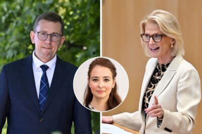 platt skatt Alice Teodorescu Måwe