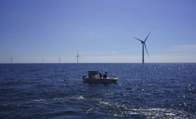 Denmark Wind Park Seafood