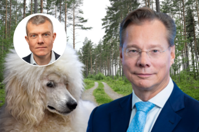 Kopia av Krönika