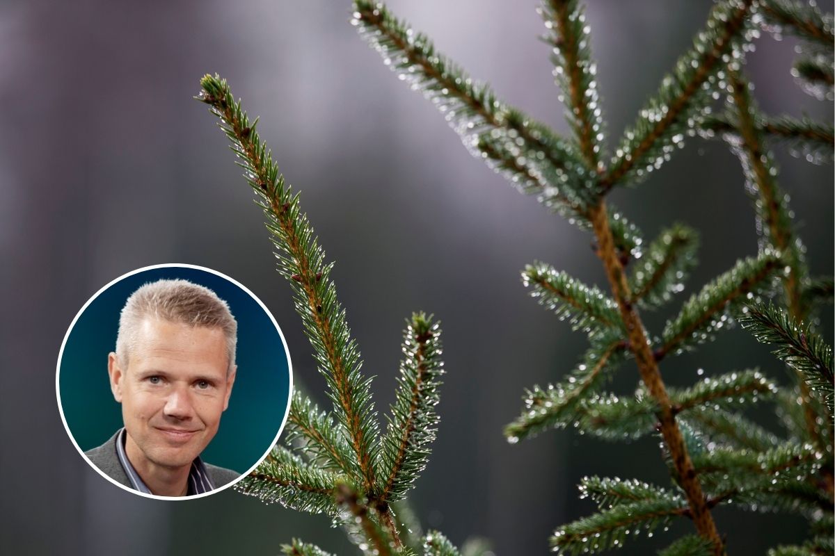 Sandström: Ställ om den gröna omställningen - från bidrag till avdrag