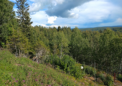 Skärmbild 2024-11-01 103244