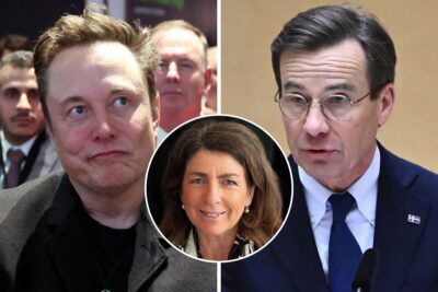 Elon Musk Ulf Kristersson Bettina Kashefi