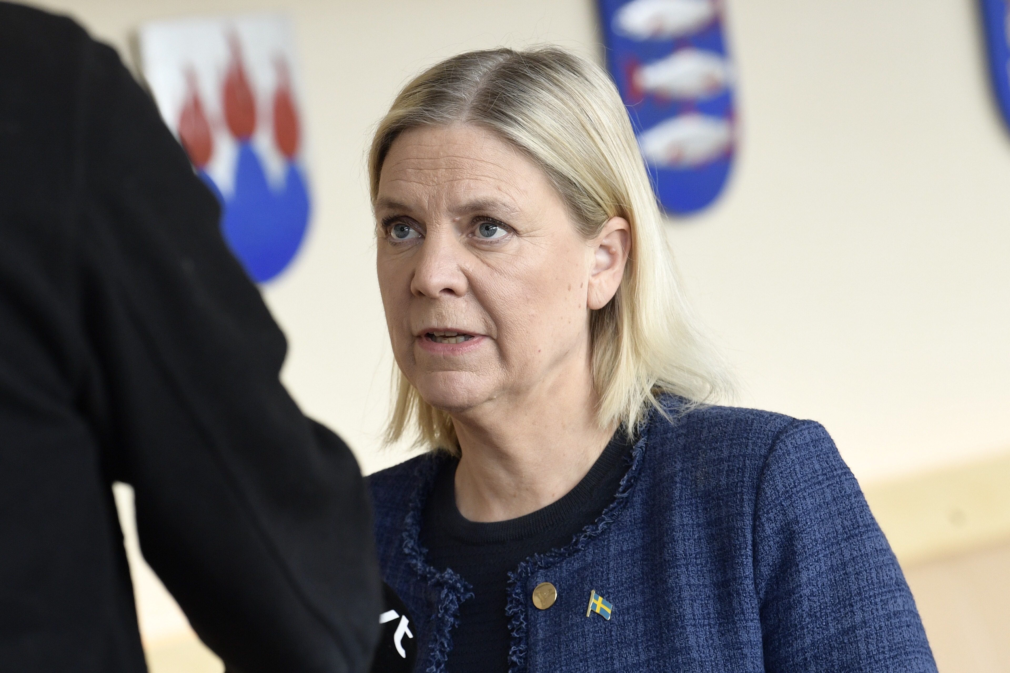 S vill starta statlig investeringsbank – för gröna investeringar och AI