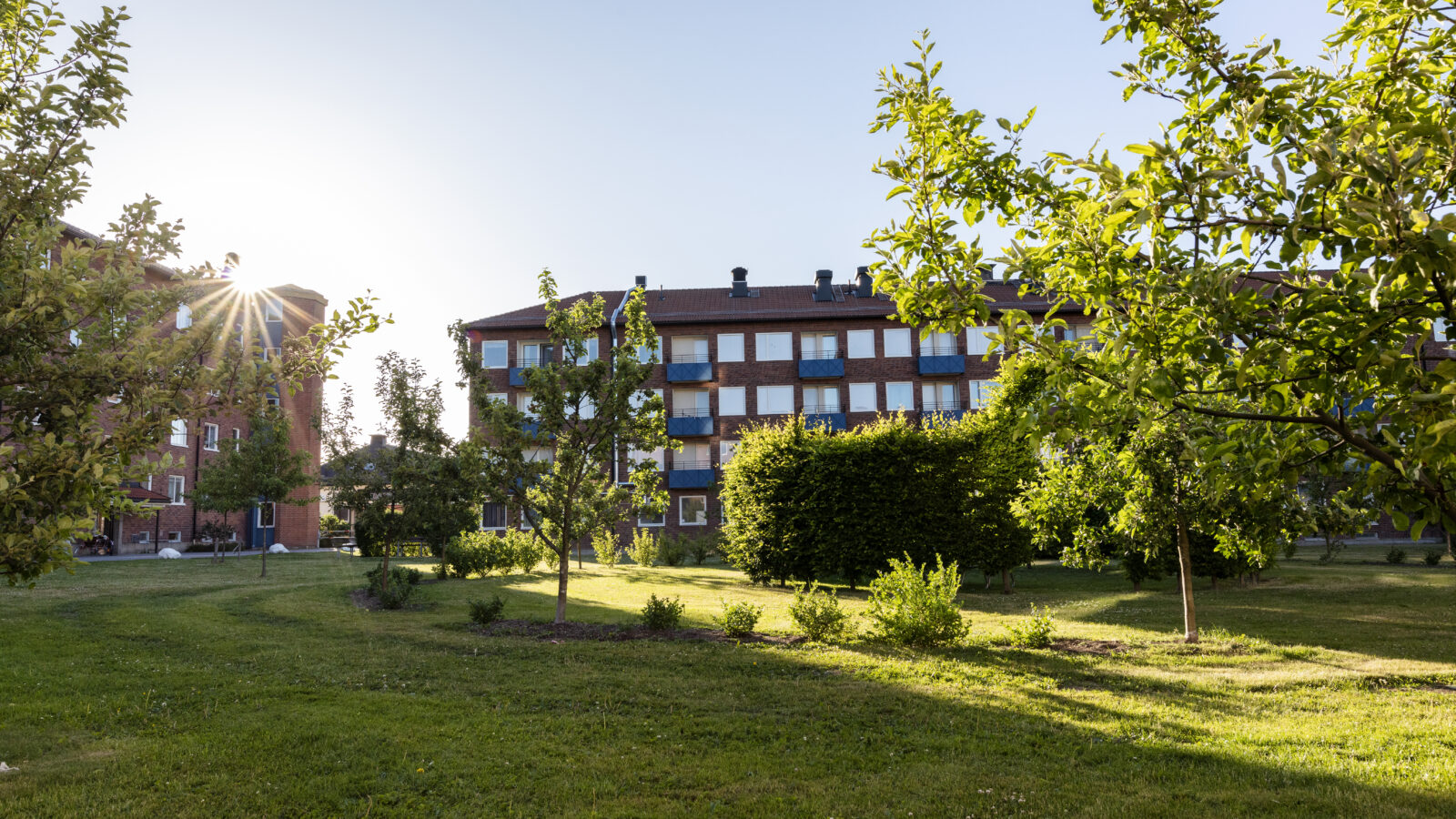 När bostadsbristen blev ett bostadsöverskott - Hyresbostäder Ljura