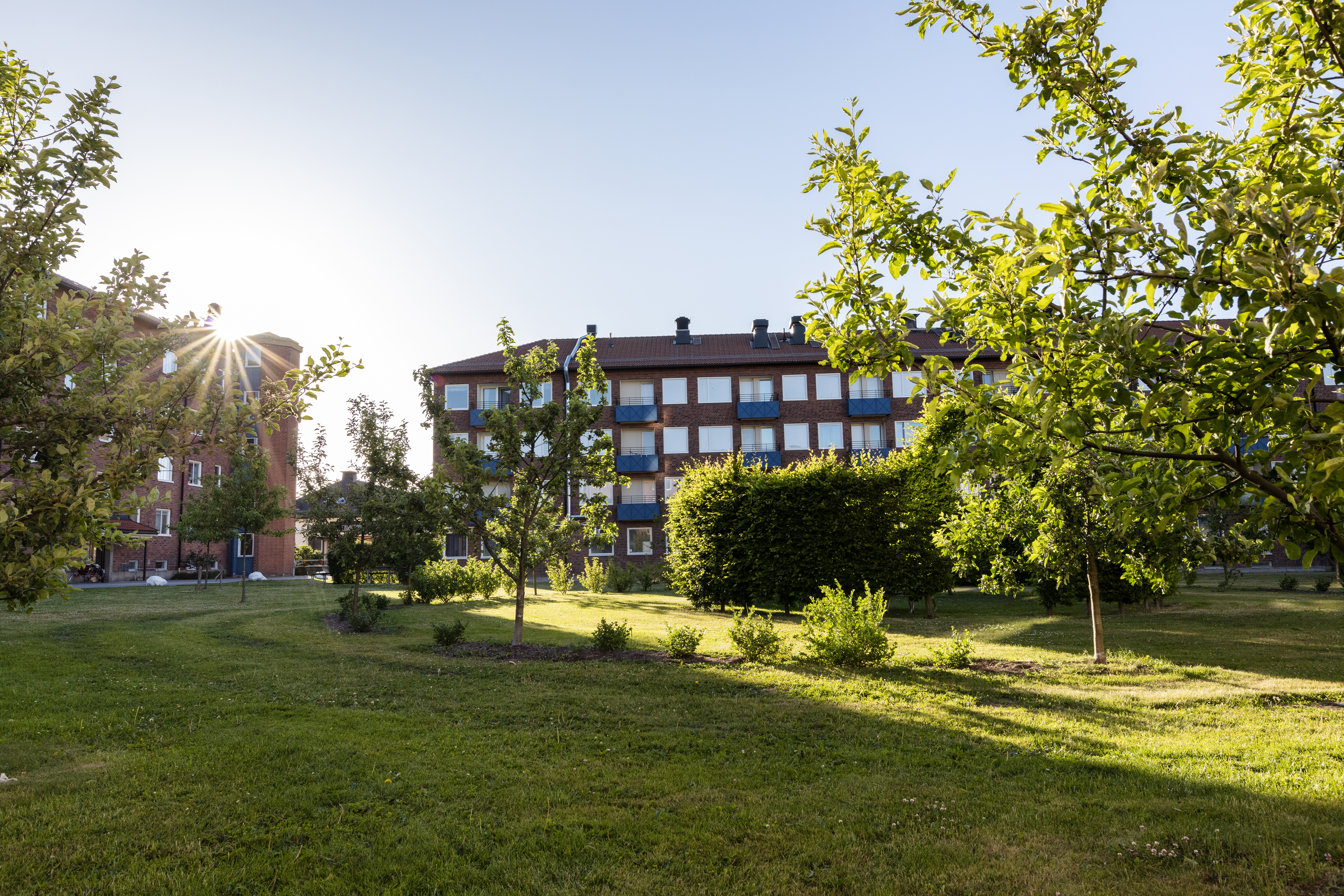 När bostadsbristen blev ett bostadsöverskott