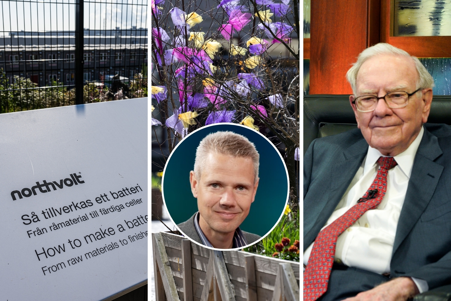 Sandström: Grön långfredag – tio år med Buffetts kackerlackor