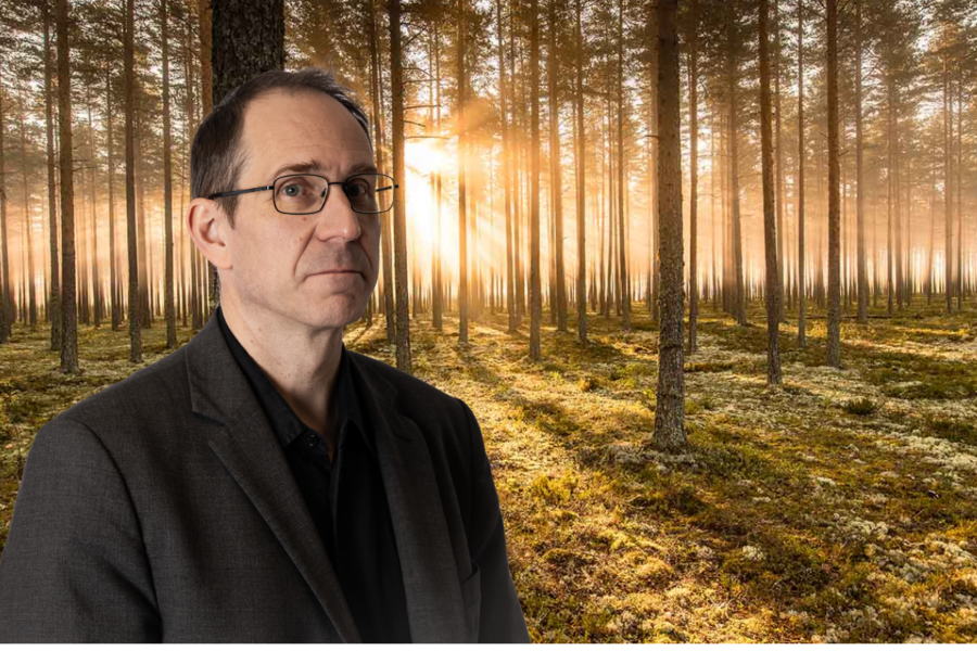 Stora Enso: Servettkalkyler i skogen - Stora