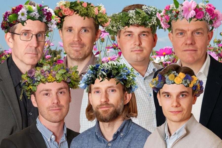 Midsommarnattsdröm: Sju aktier att lägga under kudden - midsommaraktier (1)