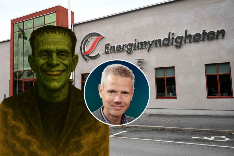 Sandström: Frankensteins företagsstöd 122 miljarder – tre gånger mer än Polisen - vindkratensgeografi (91)