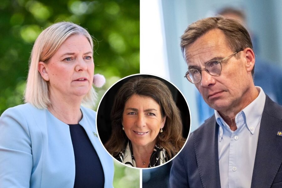 Bettina Kashefi, krönika, valfläsk
