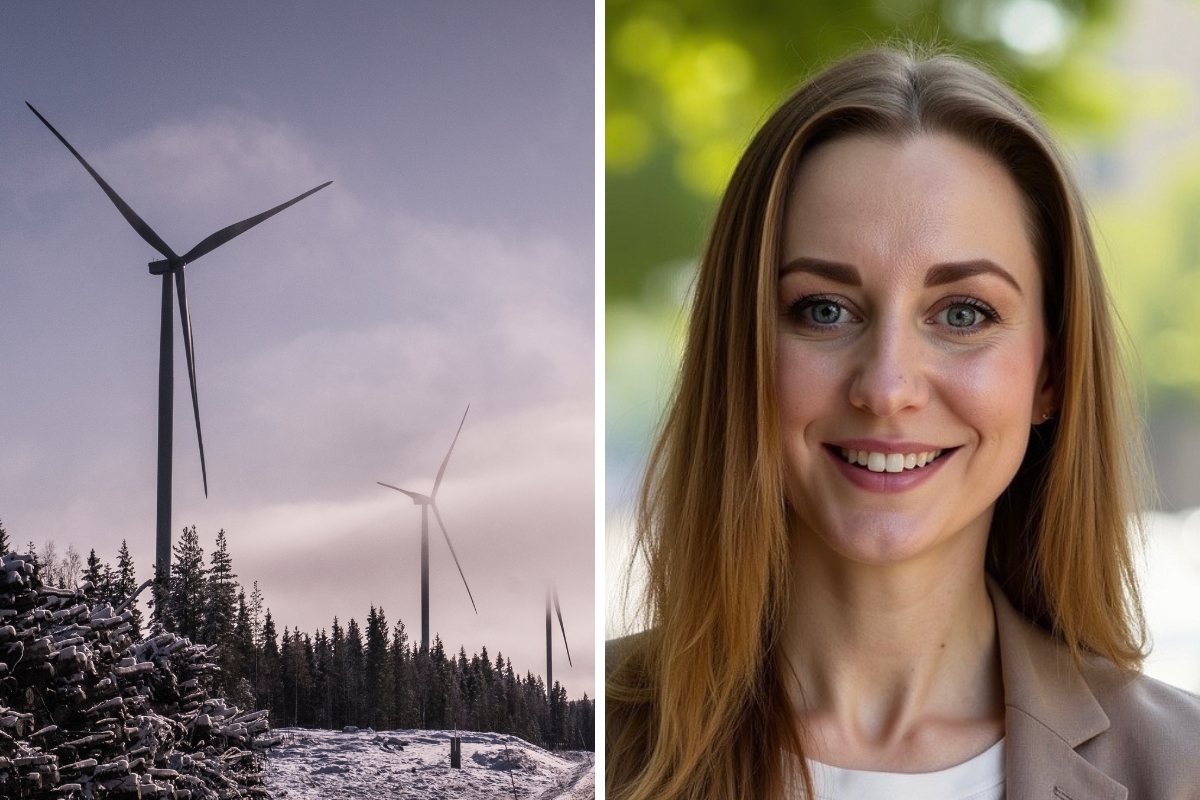 Avgrundsdjup kris för vindkraften i norr: ”Ingen tjänar pengar”