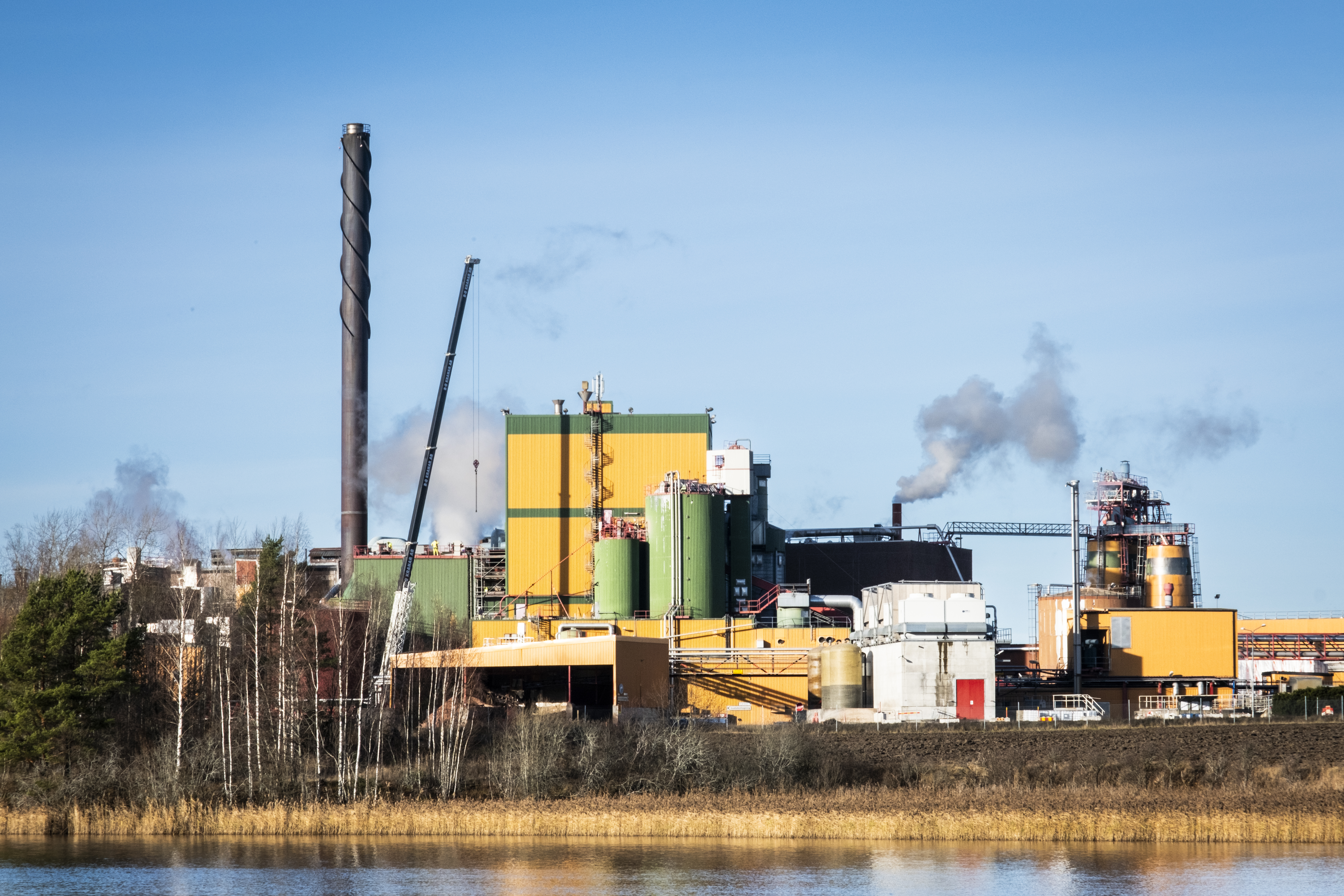 Stora Ensos vinst faller – spår dämpad efterfrågan