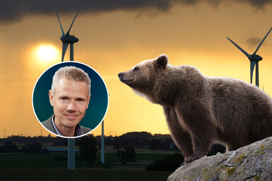 vindkratensgeografi - 2025-07-24T215255.183