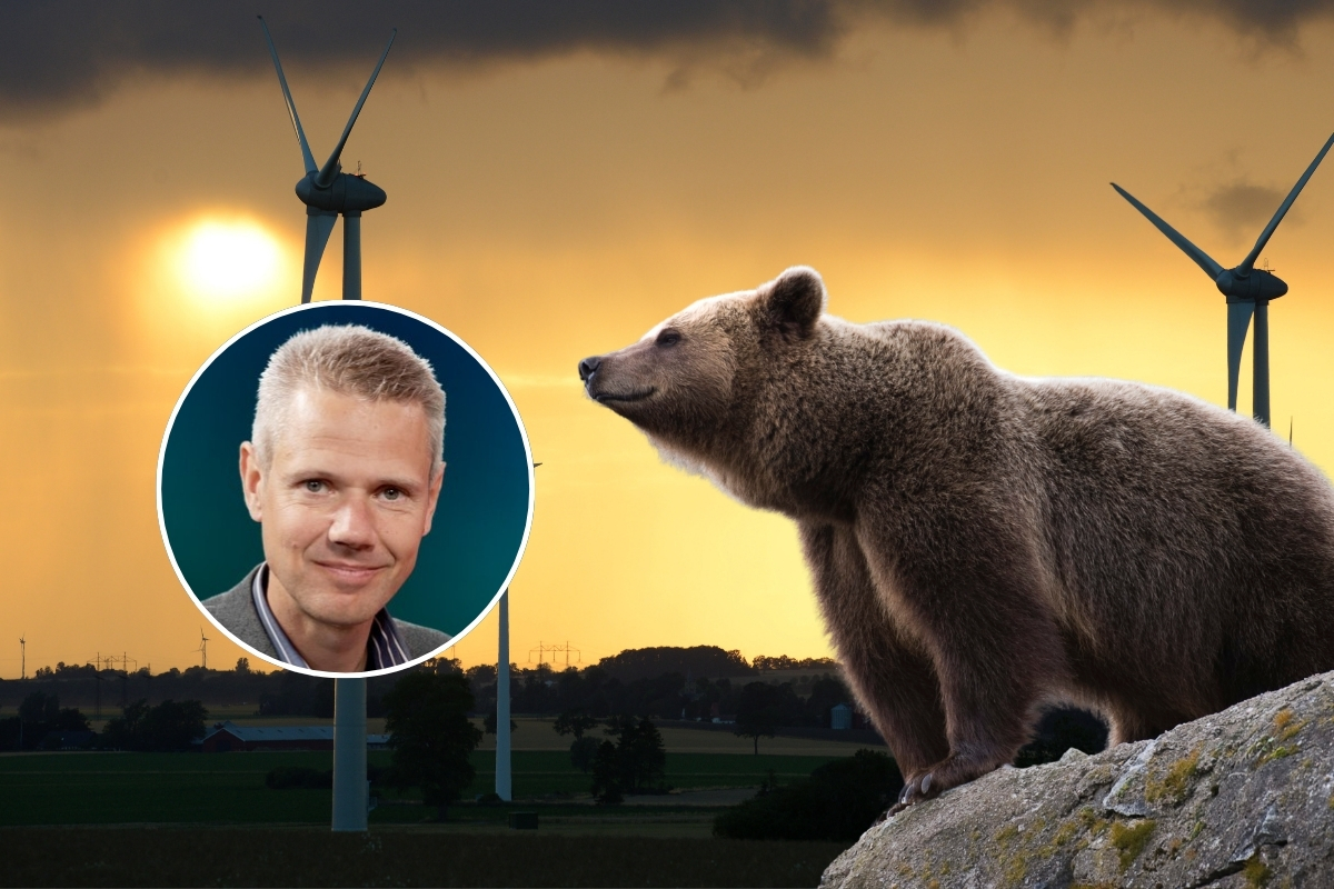 Sandström: Rekordstora vindkraftverk – 51 av 60 gick i dvala