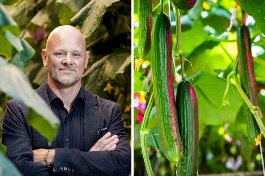 Agtira VD Erik Jonuks