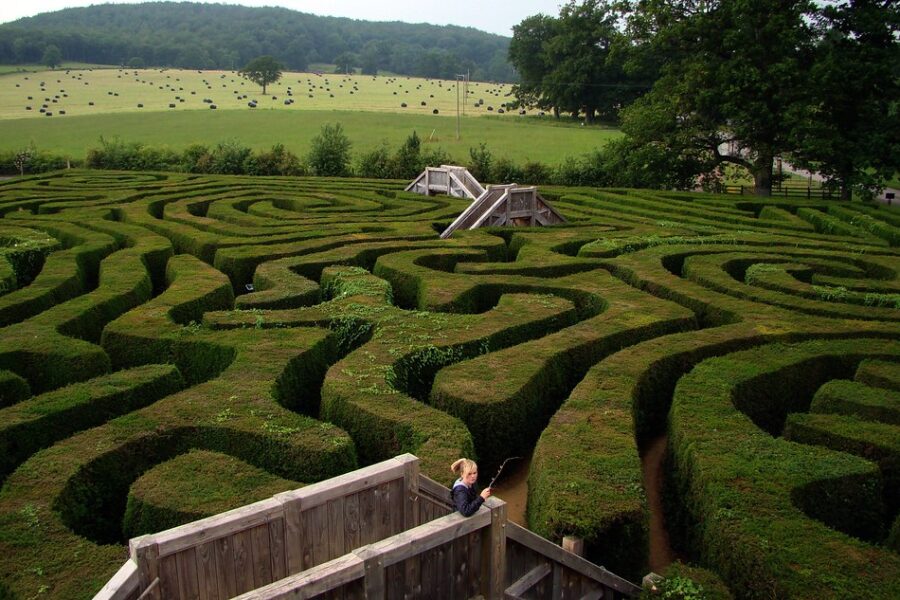 Hedge fund maze