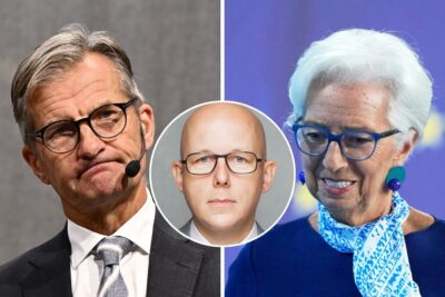 Martin Enlund krönika ECB Riksbanken, ekonomin inte en maskin - en skog