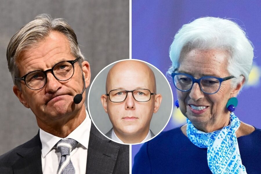 Martin Enlund krönika ECB Riksbanken, ekonomin inte en maskin - en skog